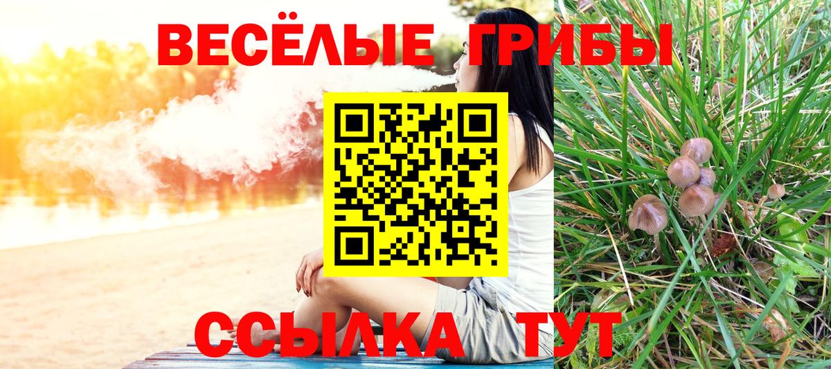где купить наркоту  Вход с VPN  Псилоцибиновые грибы GOLDEN TEACHER  Ступино  Галлюциногенные грибы мухоморы 