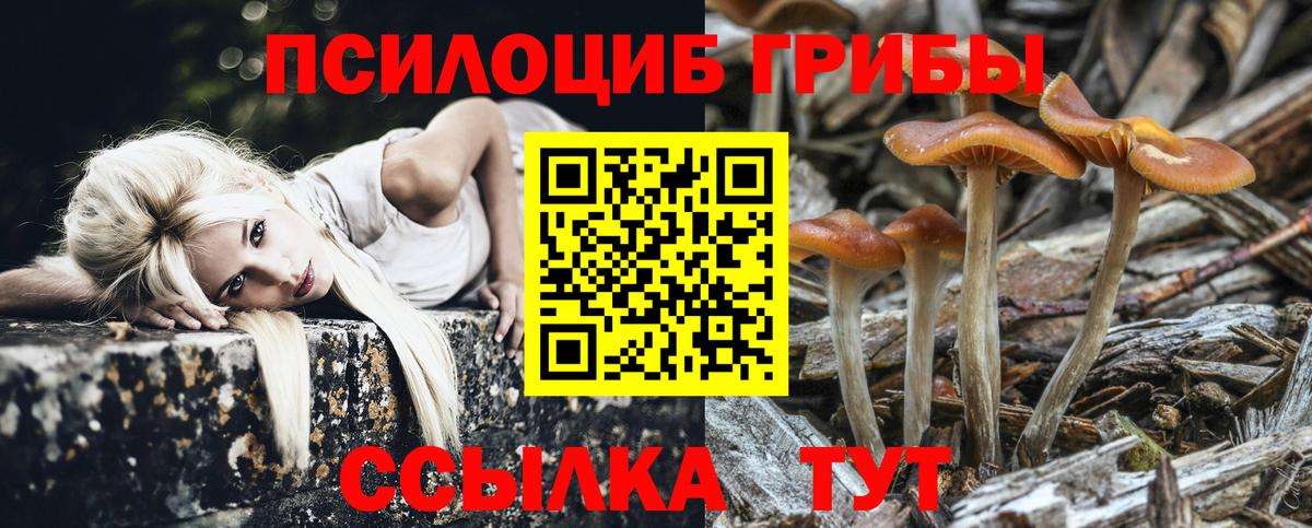 Галлюциногенные грибы прущие грибы Ступино